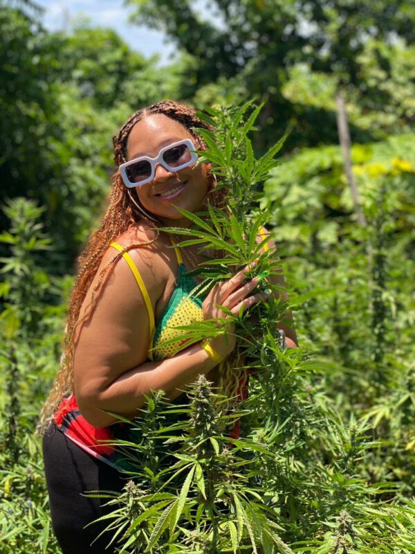 D Boss Farm Montego Bay - Image 3