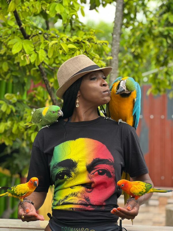D Boss Farm Montego Bay