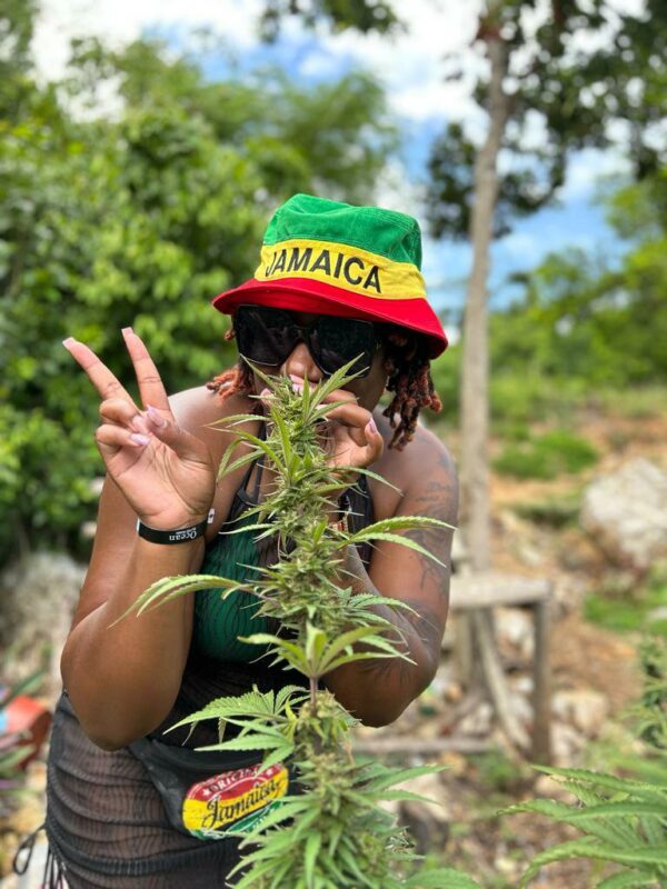 Weed Farm Tour & Lethe River Bamboo Rafting Montego Bay