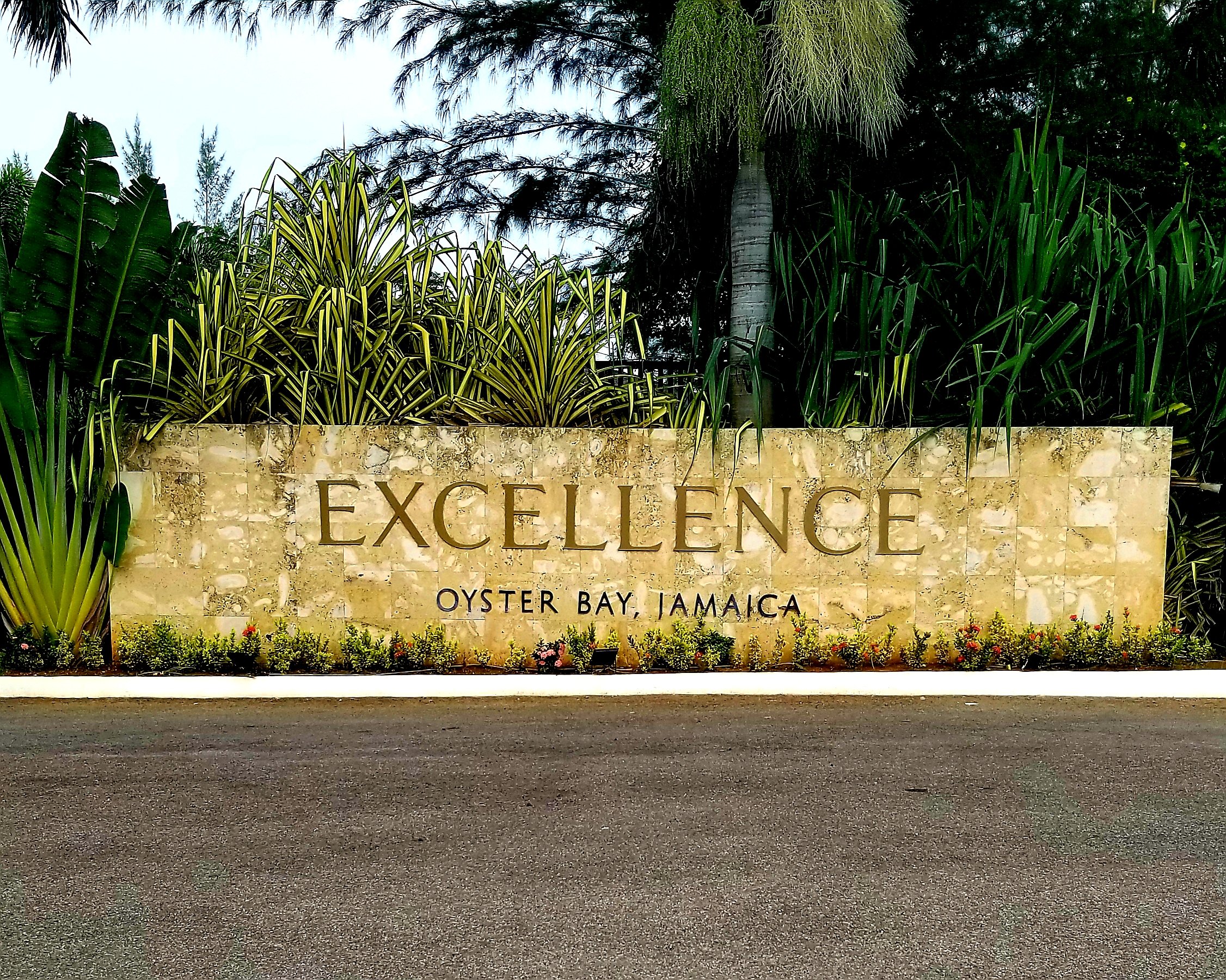 Excellence Oyster Bay Airport Transfer - Image 3