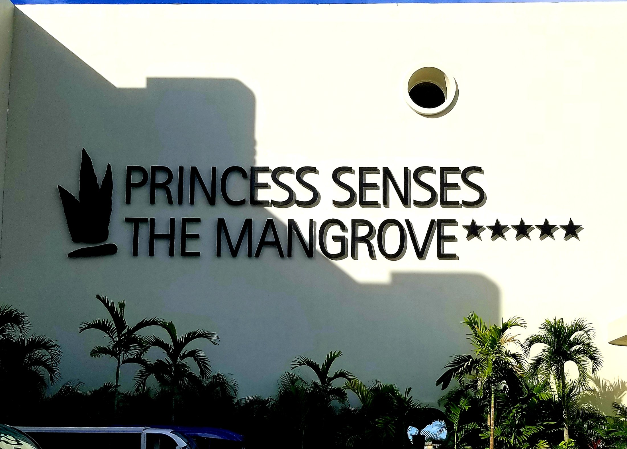 Princess Senses The Mangrove Airport Transfer